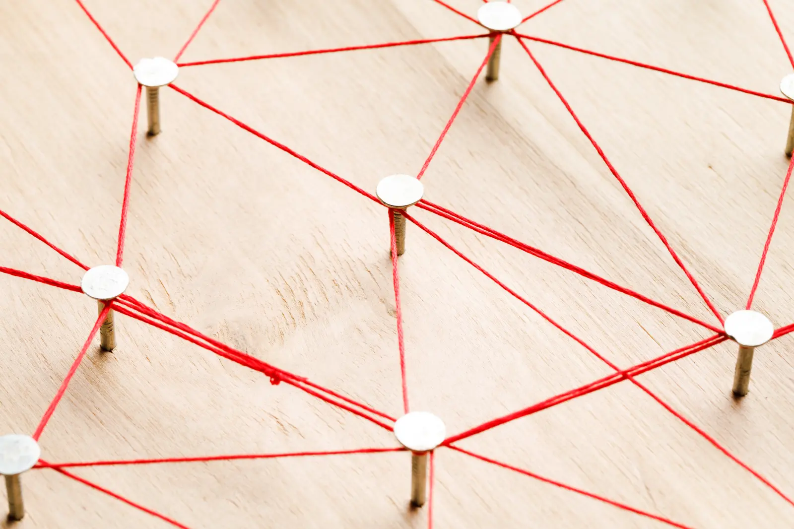 Kooperationspartner und Gremien